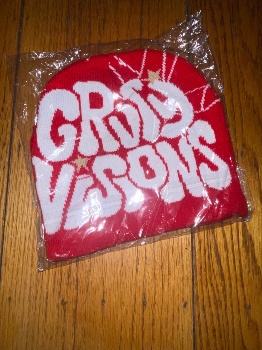 Gravity visions red and white beanie with spider web design